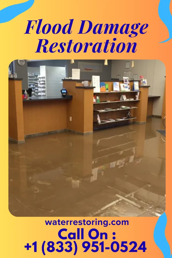 Flood Damage Restoration in Fairplay, GA