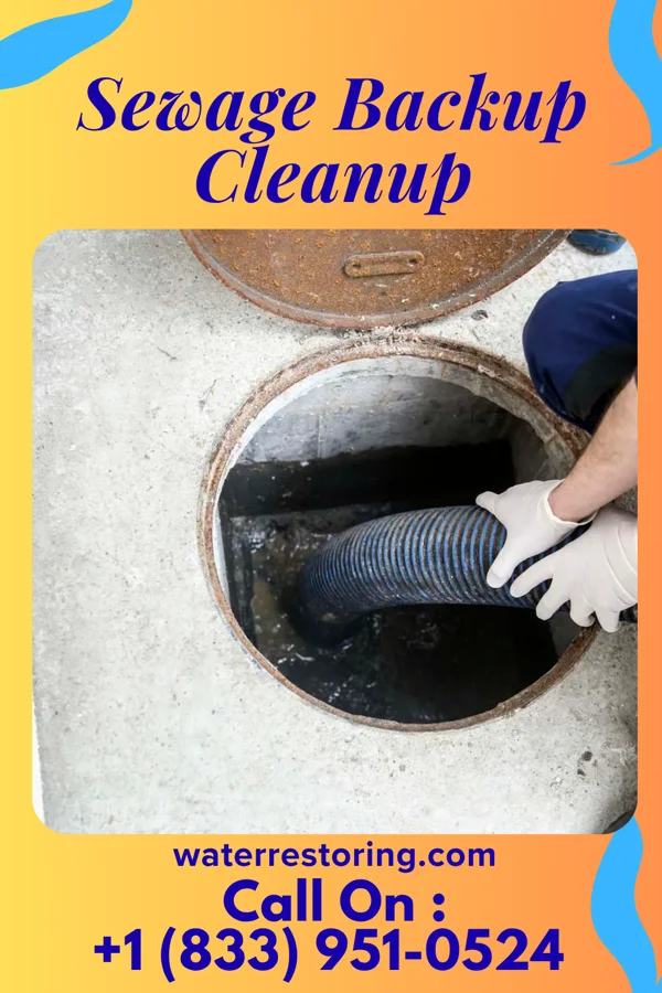 Sewage Backup Cleanup in Fairplay, GA